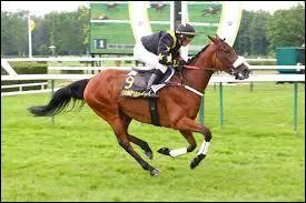 De quelle couleur sont les panneaux de balisage de tourisme équestre ?