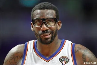 Combien mesure Amar'e Stoudemire ?