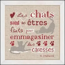 Qui a dit : "Dieu a inventé le chat pour que l'homme ait un tigre à caresser chez lui" ?