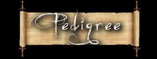 A quoi sert un pedigree ?