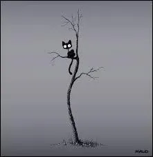 Delphine et Marinette sont des héroïnes de conte dont Marcel Aymé disait qu'il les avait écrits pour des enfants de 7 à 75 ans.En connaissez-vous le titre ?