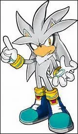 Quel âge a Silver ?