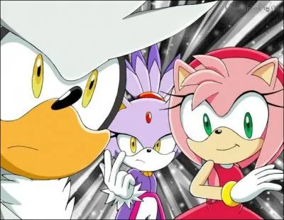 Quel âge ont Amy et Silver ?