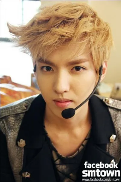 Dernièrement, les EXO font beaucoup parler d'eux. Kris, le leader des EXO-M a entamé un procès à l'encontre de son agence, la SM, pour mettre fin à son contrat exclusif. Quelle est la raison de ce procès ?