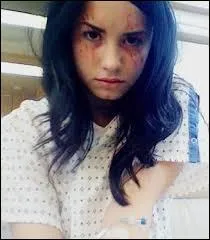 En quelle année Demi Lovato joue le rôle de Hayley May dans la série à succès : '' Grey's Anatomy'' ?