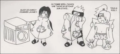 Lequel d'entre eux déteste la tournée de lavage ?