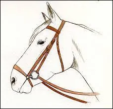 Quel est le nom de ce filet ?