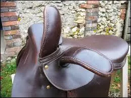 Comment se nomme cette selle ?
