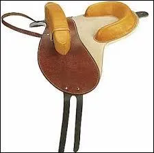 Comment se nomme cette selle ?