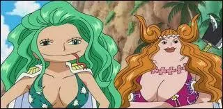 Luffy a-t-il combattu Boa Marigold et Boa Sandersonia ?