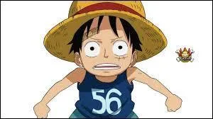 Brook a-t-il combattu Luffy ?