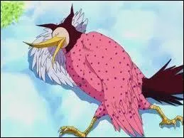 Nami a-t-elle combattu Pierre ?