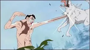 Sanji a-t-il tuer Mr.2 (Bonclay)