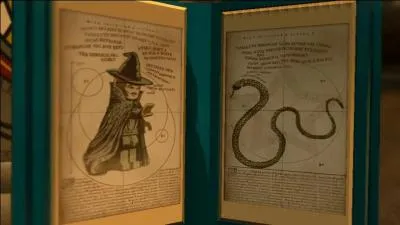 C'est un langage que tout humain incapable de le parler perçoit comme un sifflement continu.