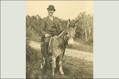 Comment va cet homme sur son âne ?