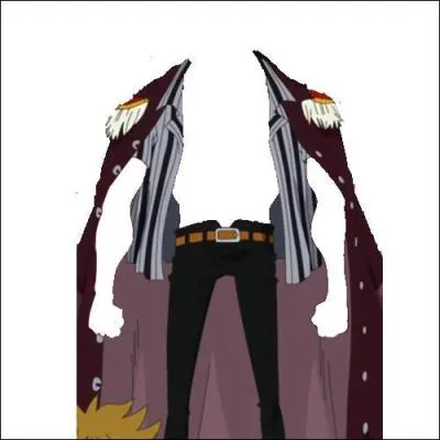 Qui portait ce vêtement dans "One Piece" ?
