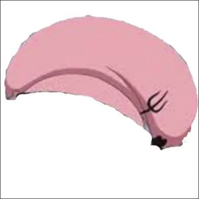 Qui porte ce vêtement dans "One Piece" ?