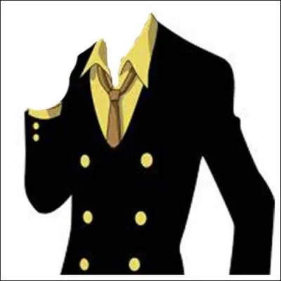 Qui porte ce vêtement dans "One Piece" ?