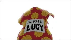 Qui a déjà porté ce vêtement dans "One Piece" (en réalité) ?