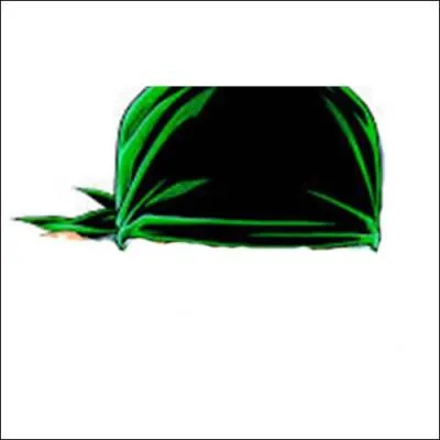 Qui a déjà porté ce bonnet dans "One Piece" ?