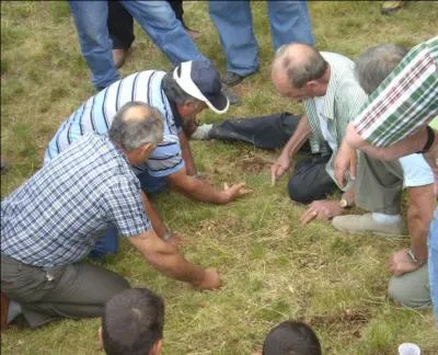 Ce jeu, où l'on n'utilise que les doigts, et où on crie fort en énonçant des chiffres, s'appelle "la morra". De quel pays est-il originaire ?