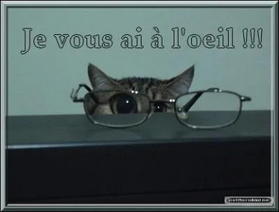 Qu'est-ce qu'un "ectropion" ?