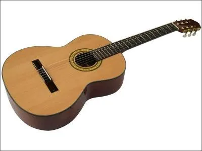 De quelle famille fait partie la guitare ?