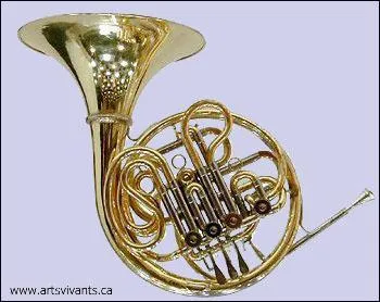 Le cor, le trombone, la trompette et le tuba sont des instruments de la famille :