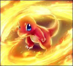 Ce petit lézard se nomme Salamèche et provient de l'animé...