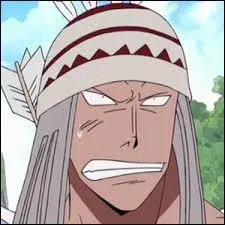 Ce pirate s'appelle Yotsubane et est issu de l'animé...