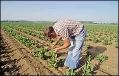 Nous allons dans ce lieu de campagne, pour voir si l'on peut voir un agriculteur !