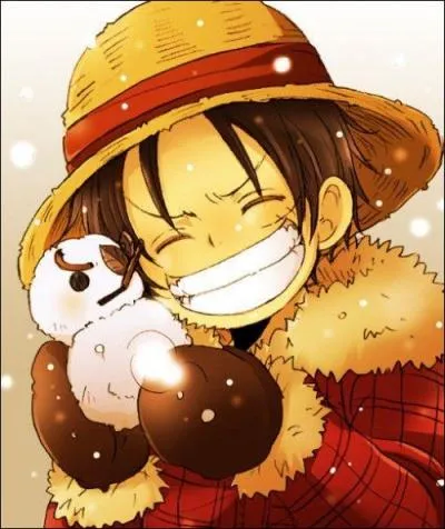 Après les images et les mangakas, nous allons vraiment commencer le quiz sur les mangas et je vais vous questionner sur les personnages ou bien leur histoire. Pour commencer, nous connaissons tous l'histoire de Luffy, celle d'un homme qui veut devenir le Roi des Pirates et qui a une cicatrice sous son il gauche. Mais comment se l'est-il faite ?