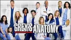 Dans la série "Grey's Anatomy", qui sont les 2 demi-surs ?