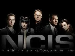 Dans la série "NCIS : Enquêtes spéciales", quel enquêteur est surnommé "le bleu" ?