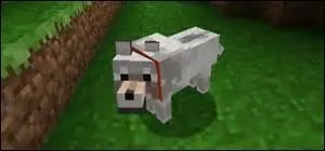 Quelles créatures les loups n'effraient-ils pas ?