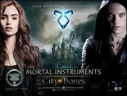 Comment s'appelle l'auteur du livre The mortal instrument : la cit&eacute; des t&eacute;n&egrave;bres?