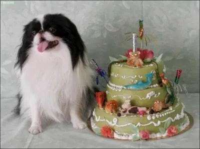 Mais au fait ... Je ne me souviens plus qui avait dit qu'il te réservait un chien de sa chienne ?... Et bien le voilà ! ...