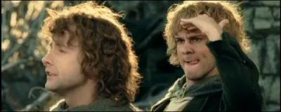 Comment celui-ci appelle-t-il les deux Hobbits juste après leur rencontre ?