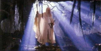 Qui est le Magicien Blanc ?