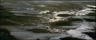 Comment appelle-t-on les marécages que n'auraient pu traverser Frodon et Samsagace sans l'aide de Gollum ?