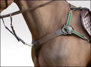 Le collier de chasse sert à...