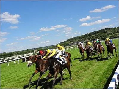 Quelle race est utilisée pour les courses de chevaux ?