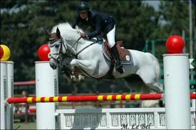 Parmi ces 5 noms, lequel est celui d'un cavalier célèbre ?