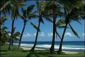 En décembre, je prends un avion à Paris pour aller à la Réunion et je laisse l'heure de Paris sur ma montre. Si pendant le vol j'envoie un texto à 23h38 ( heure de ma montre ) à mon amie qui habite à destination...