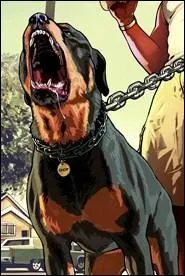 Comment se prénomme le chien d'un des personnages ?