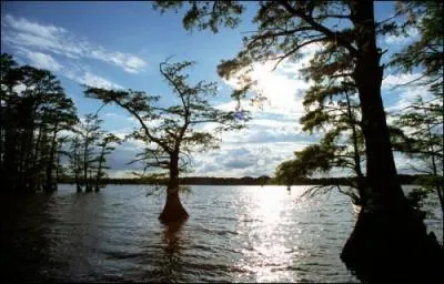 Quel est le plus grand fleuve des Etats Unis ?