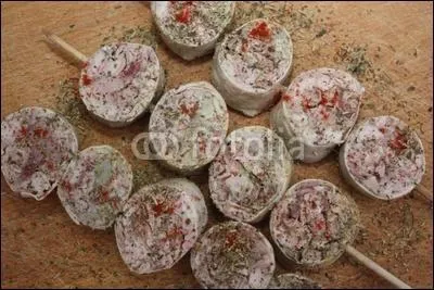 Que sont ces brochettes que Moquette et Synapse viennent de faire griller ?