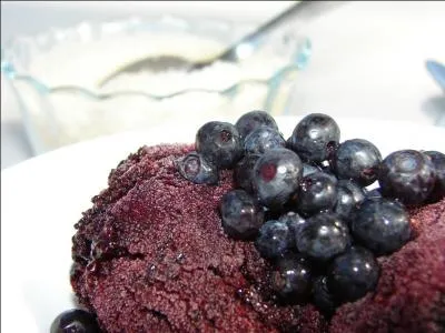 Mia a préparé un dessert simple et rafraîchissant, surmonté de fruits cueillis par Maryaka :