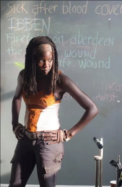 Qui est Michonne?