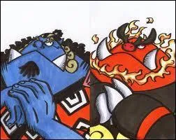 Qui se cache derrière Roitiflam ?